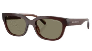 Gafas de sol Armani Exchange AX4155SU