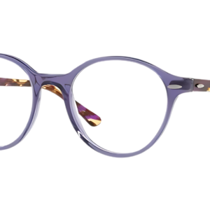 Montura Ray-Ban RB7118