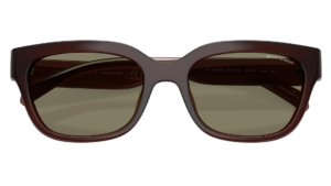 Gafas de sol Armani Exchange AX4155SU